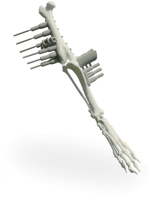 Навігаційний шаблон, ветеринарні навігаційні шаблони, навігаційні та резекційні шаблони